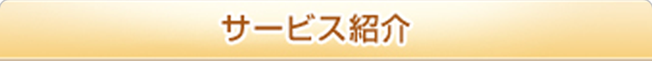 サービス紹介